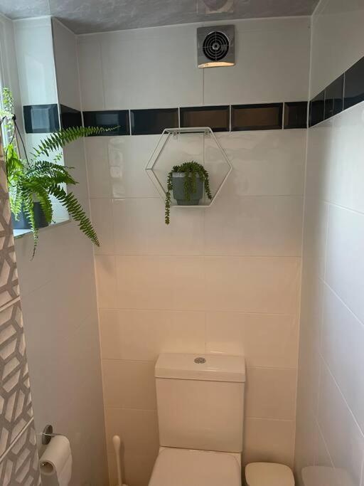West London Stunning Garden Flat - Period Features Apartment Bagian luar foto